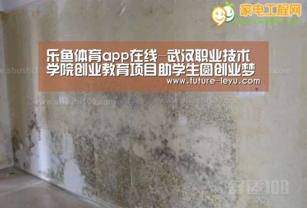 乐鱼体育平台
